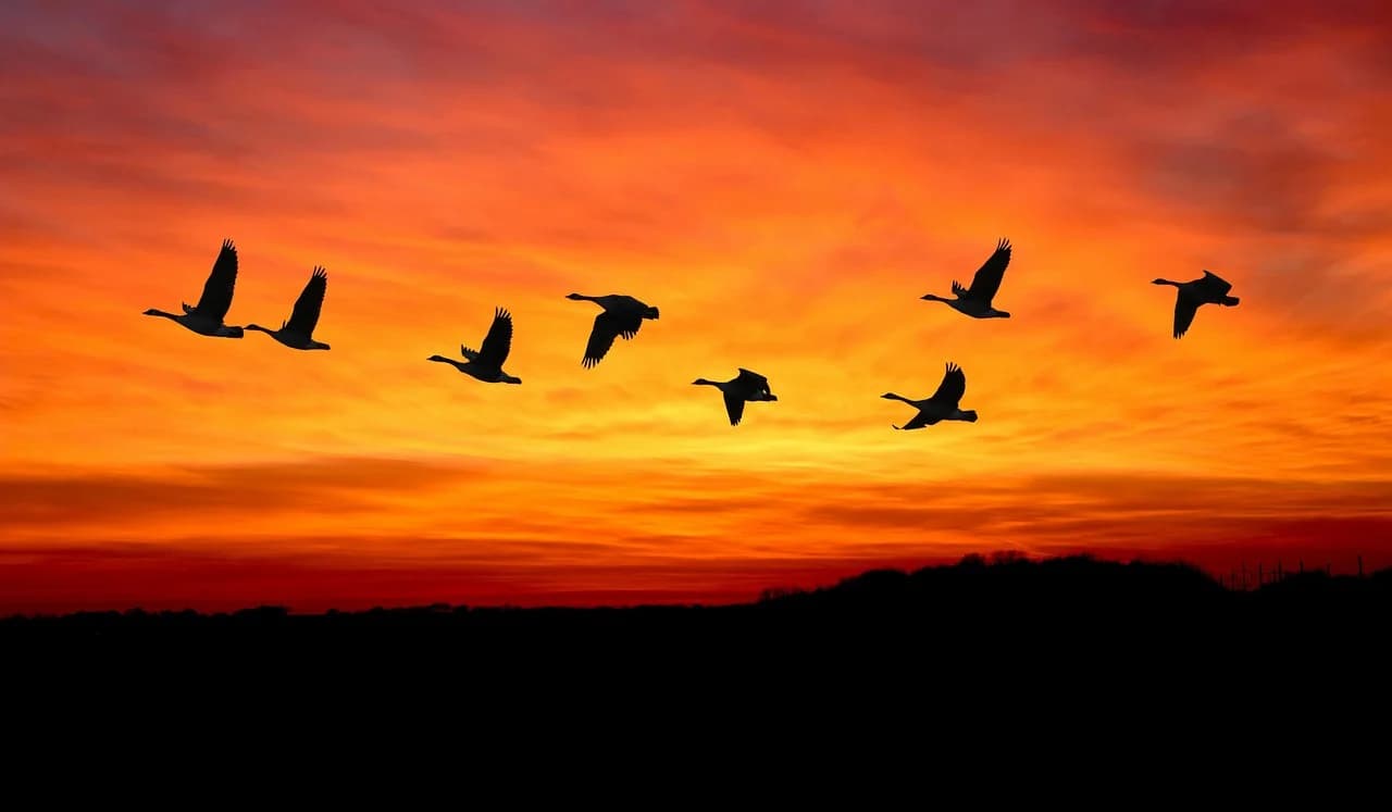 Migrating 6.5 billion rows from MongoDB
