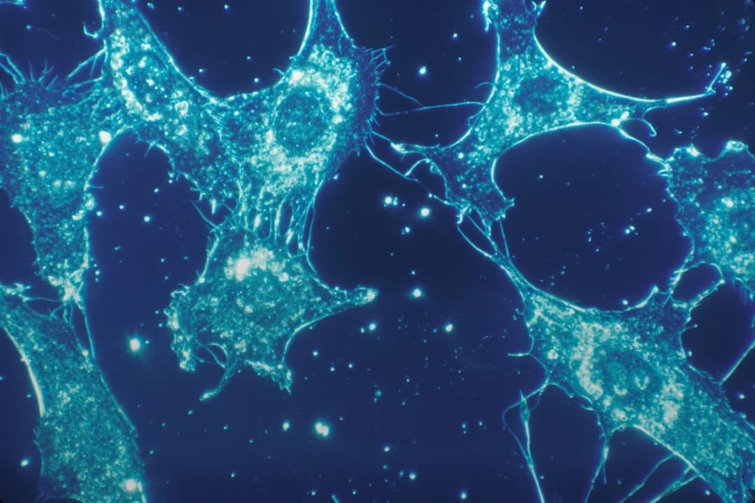 Electron Microscopy Archives
