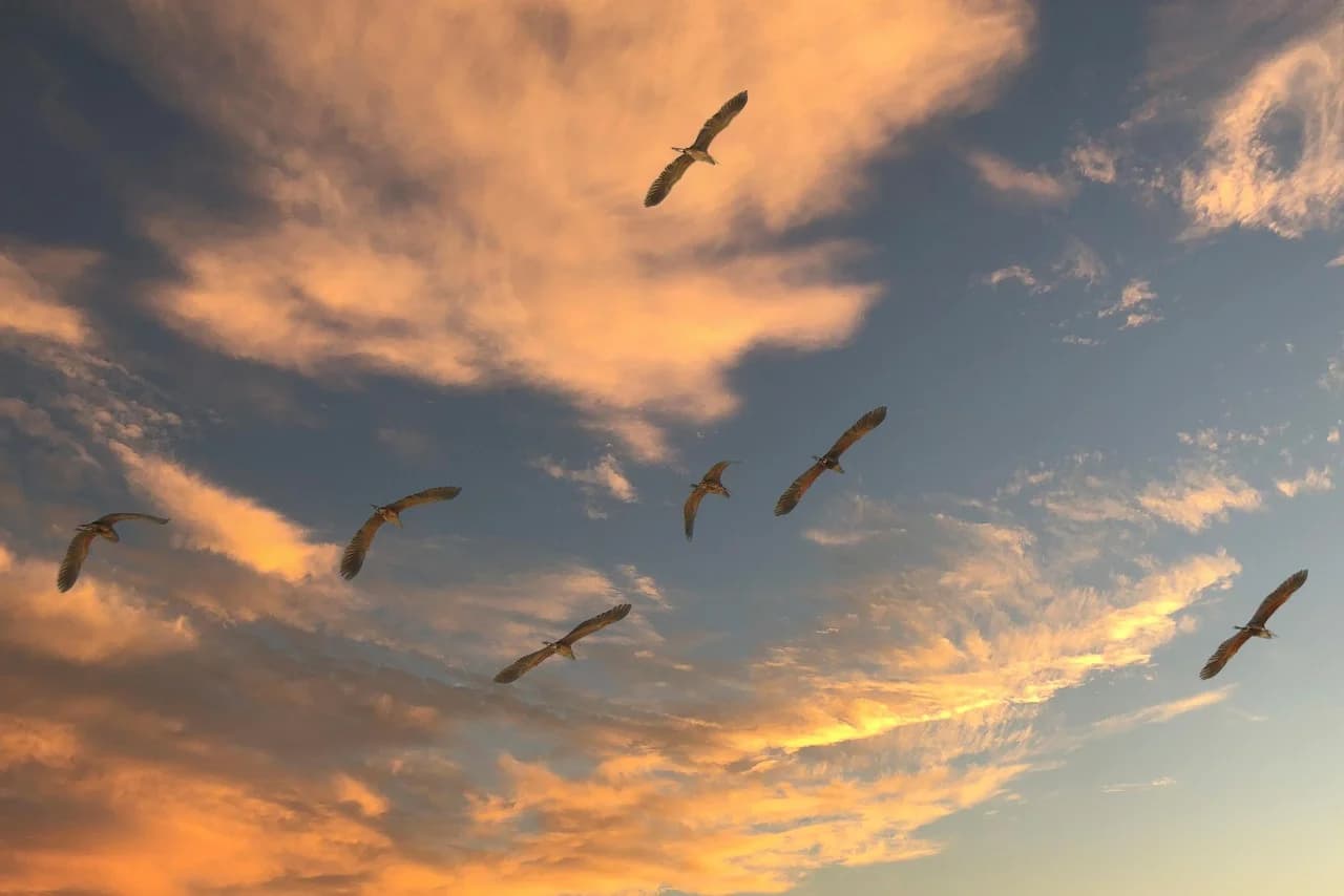 Two database migrations and a divorce