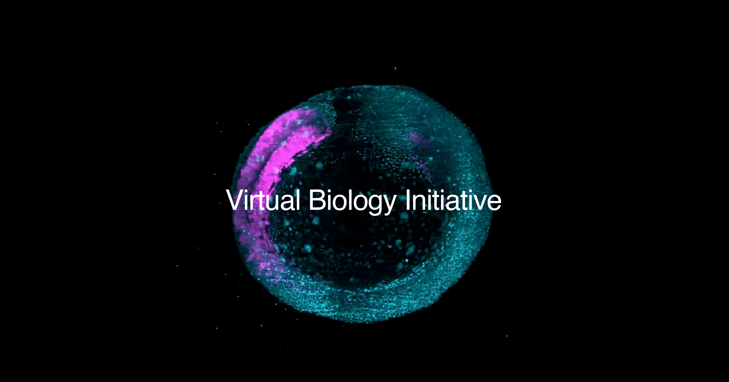 Biohub launches the Virtual Biology Initiative