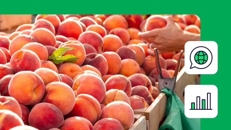 Food and Beverage Shipping: Combining Parcel and LTL for Shipping Efficiency